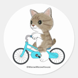 Adesivo O gato de gato malhado está montando uma biciclet
