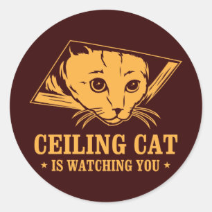 Adesivo O gato do teto está olhando-o