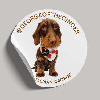Adesivo O George | Influenciador de Pets Moderno Foto 1,5"