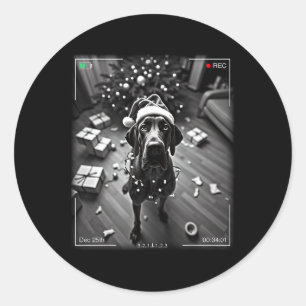 Adesivo O Grande Dane De Natal Apanhou A Câmera