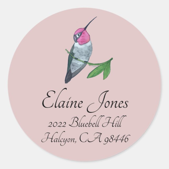 Adesivo O Hummingbird de Anna (Frente)