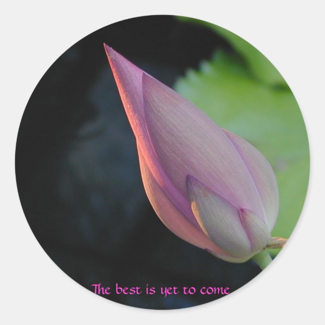 Adesivo O melhor ainda está por vir (Frente)