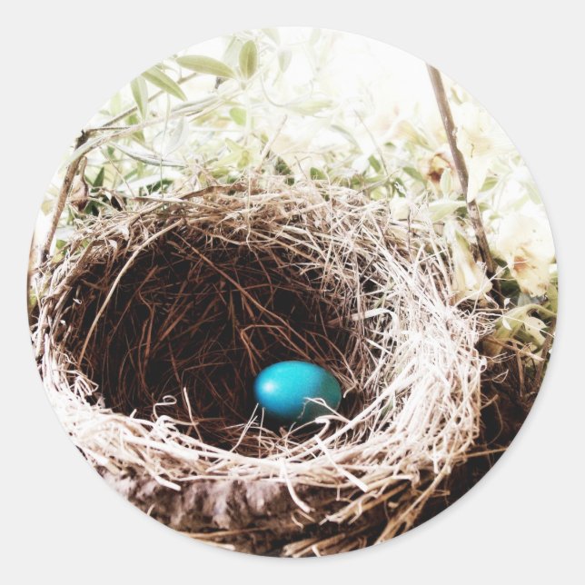 Adesivo O Ninho de Robin (Frente)