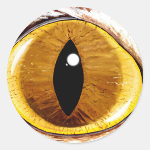 Adesivo O olho de gato pintado