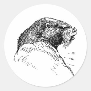 ADESIVO O OTTER