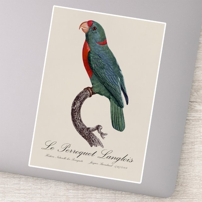 Adesivo O Papagaio Langlois de Jacques Barraband (Le Perroquet Langlois by Jacques Barraband. Sticker)