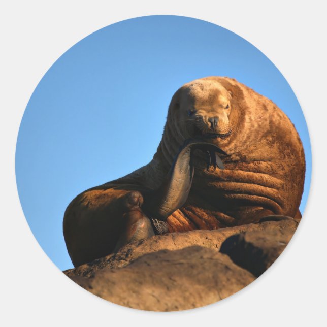 Adesivo O Pensador (Frente)