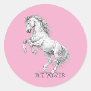 Adesivo O Poder do Garanhão Gráfico de Cavalo Majestoso