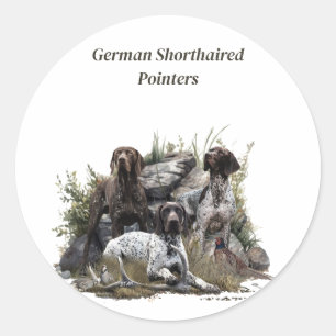 Adesivo O ponteiro alemão Shorthired ou Deutsch Kurzhaar