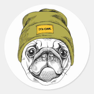 Adesivo O Pug   do hipster é legal