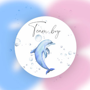 Adesivo O que o bebê será garoto da equipe