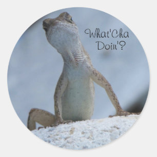 Adesivo O Que Você Está Fazendo? Lagarto Anolis Marrom Ade