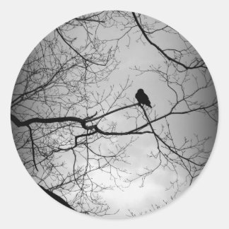 Adesivo O Raven