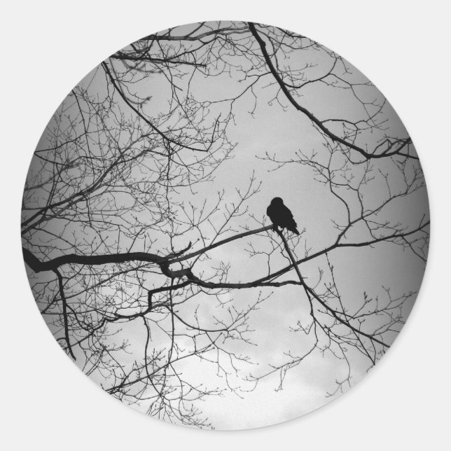 Adesivo O Raven (Frente)