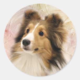 Adesivo O Sable Sheltie enfrenta