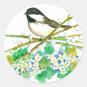 Adesivo O salgueiro de bichano do Chickadee pode flores