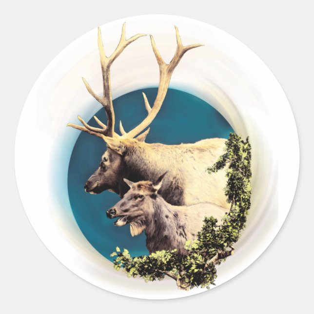 Adesivo O Stag e o Hind (Frente)