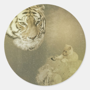 Adesivo O Tigre E A Gatinha, Os Pinheiros Redondos
