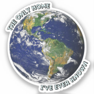 Adesivo o único lar que eu já conheci