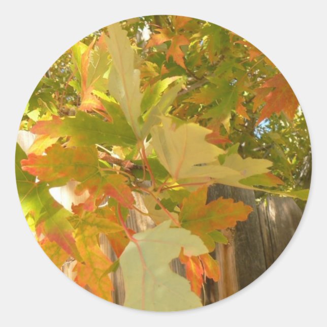 Adesivo O verão acabou (Frente)