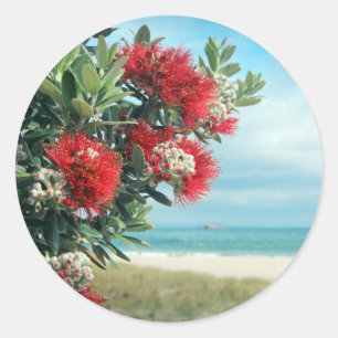Adesivo O vermelho floresce o verão de Nova Zelândia da