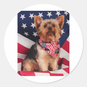 Adesivo O Yorkie americano