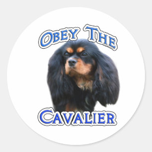 Adesivo Obedeça ao cavaleiro - Sticker