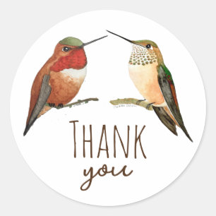 Adesivo Obrigado Allen's Hummingbird