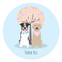 Obrigado Cachorros Por Cherry Blossom