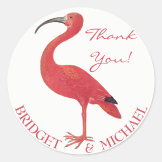 Adesivo Obrigado! | Flamingo cor-de-rosa - Vinheta de arte