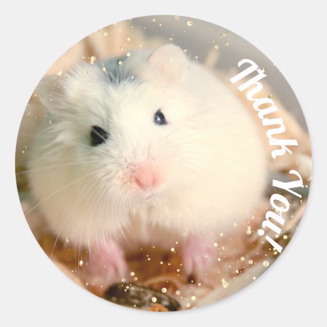 Adesivo Obrigado - Hammyville White Hamster (Frente)