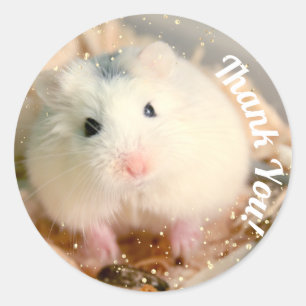 Adesivo Obrigado - Hammyville White Hamster