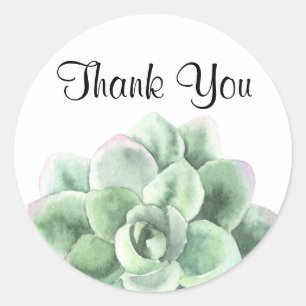 Adesivo Obrigado, planta verde do Succulent de Echeveria