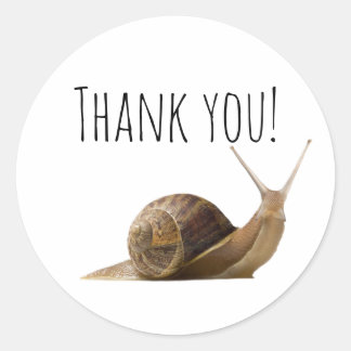 Adesivo Obrigado Snail