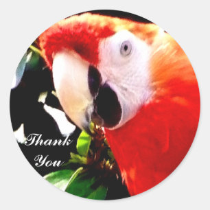 Adesivo Obrigado_Sticker