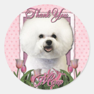 Adesivo Obrigado - tulipas cor-de-rosa - Bichon Frise