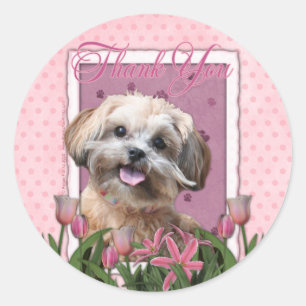 Adesivo Obrigado - tulipas cor-de-rosa - ShihPoo - Maggie