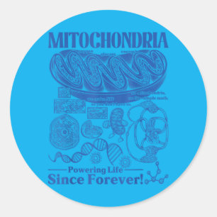 Adesivo Ochondria Ciência Vintage Biologia Diagrama de Cél