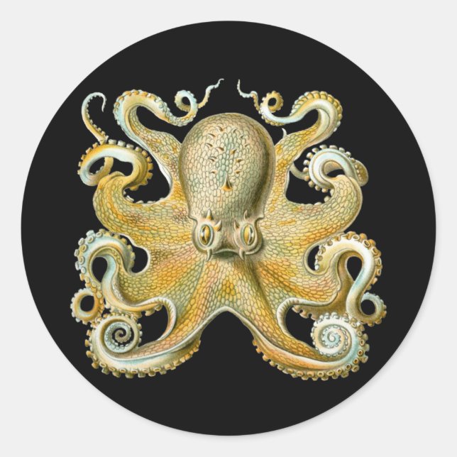 Adesivo Octopus (Frente)