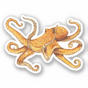 Adesivo Octopus Design náutico