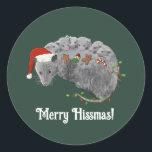 Adesivo Ogambá Christmas Baby Possum Embalado em Luzes<br><div class="desc">Uma mãe de gambá desenhada pela mão ou pai com vários gambás bebês vestindo chapéus de Papai Noel e apreciando biscoitos de Natal,  gengibre,  gengibre,  árvore de Natal,  tudo enquanto embrulhado em luzes de Natal em vermelho e verde!</div>
