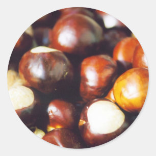 Adesivo Ohio Buckeyes