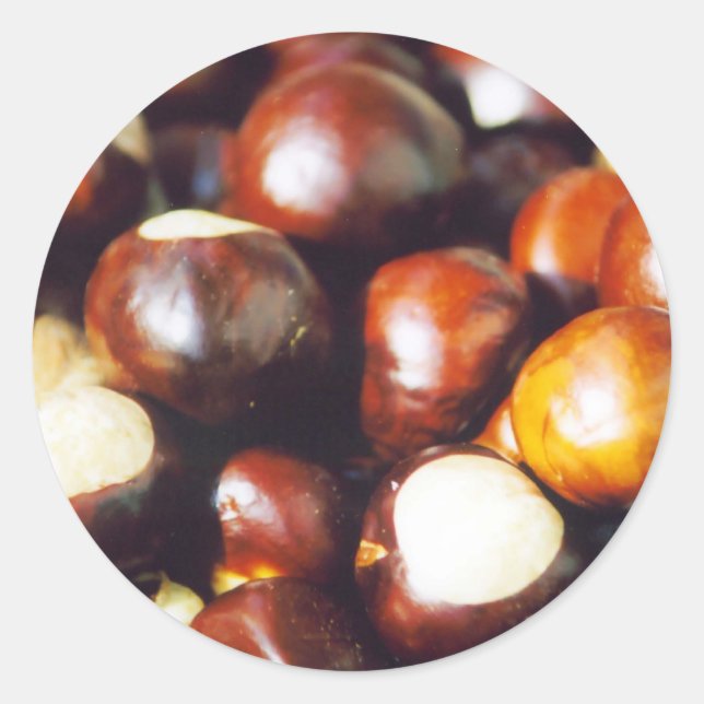 Adesivo Ohio Buckeyes (Frente)