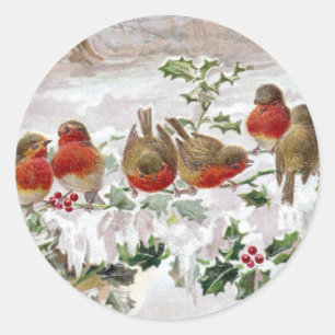 Adesivo Oito robins ingleses no natal vintage do azevinho