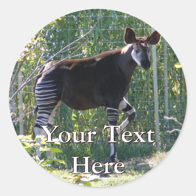 Adesivo Okapi Stickers (Frente)