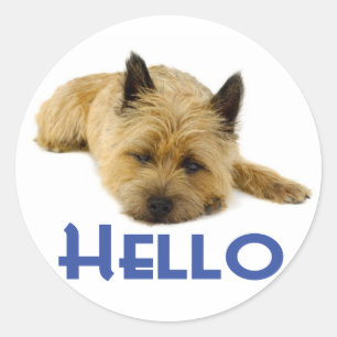 Adesivo Olá Cairn Terrier Cão Cachorro Saudação