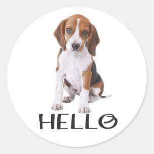 Adesivo Olá do Amigo do Cachorro Beagle Bonitinho Pensando