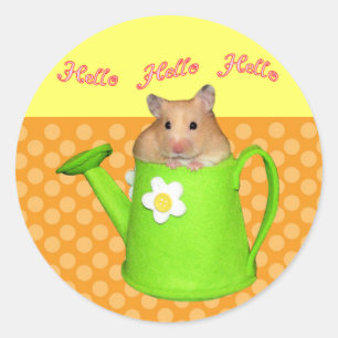 Adesivo Olá! olá! hamster