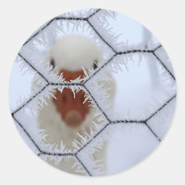 Adesivo Olá! Pato atrás da cerca de fosco