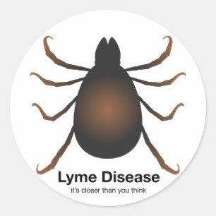 Adesivo Olá Vizinho